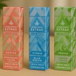Honeyroot Extrax HHC + HHCO + HHCP Disposables In Pakistan
