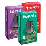 Torch Designer Distillate Disposable 4g In Pakistan