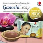 DXN Ganozhi Soap In Pakistan